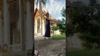Step 1 to experience Forest Tradition #Theravada