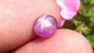 Ceylon Natural Star Ruby City of gem Ratnapura