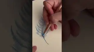 How to draw a feather with colored pencils