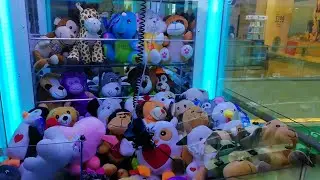 Maquina de Peluches #11 Edición San Valentin💘