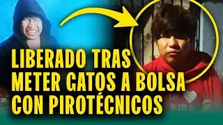 Se grabó metiendo gatos a una bolsa con pirotécnicos pero policía lo libera
