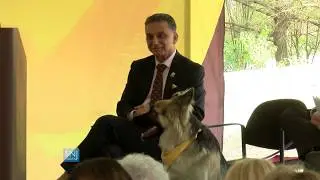 What's Good - Pet Therapy