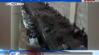 Bharuch: Gujarat Pollution Control Board's negligence in Dahej | Mantavya News