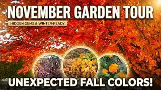 November Garden Tour🍁Unexpected Fall Color, Hidden Gems & Winter-Ready Plants