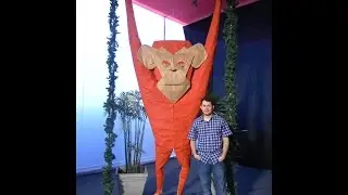 Origami Giant Monkey - Process (Quentin Trollip)