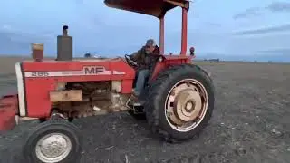 1976 MASSEY FERGUSON 285 For Sale