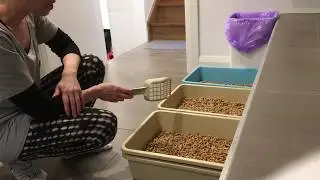 Wood pellet litter demo