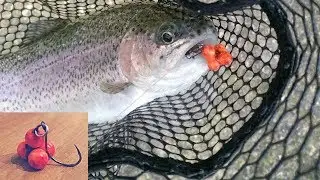Trote invernali  drop shot e bottom con artificiale autocostruito