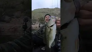 fishing Barbless hooks for Bass! #warbaits #bassfishing #adventure