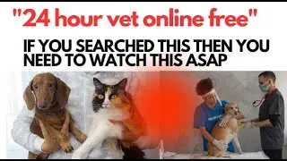 24 hour vet online free 🐶🏥🐾 click here to know || 24 hour vet online free || 24 hour vet online free
