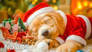 12 Hours Of Dog Calming Music 🐶🎅 Separation Anxiety Relaxing Music 🐕 Dog Sleep Music 💖 No Ads