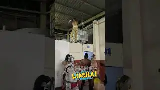 #wrestling #lucha #luchalibre #luchadores #prowrestling #luchadorprofesional