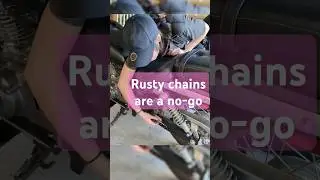 Drive Chain #shorts #motorcycle #bikergirl  #humor #learnwithme #bike #suzuki #rider #funny #biker