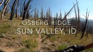 Mountain biking Osberg Ridge || Sun Valley, ID