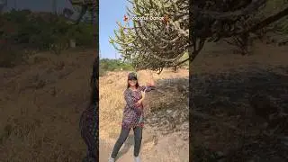 Kachi Kali Sada Dil 💕 #love #viral #trending