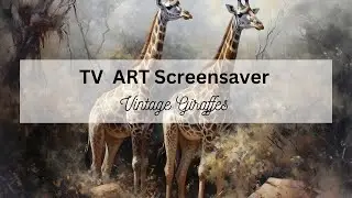 Vintage Giraffes, 4 pictures, 1 hour. No sound Screensaver
