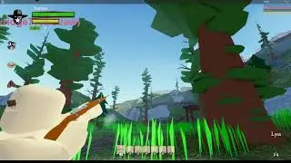 The right to bear arms