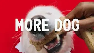Less Holiday Ads | Milk-Bone Commercial