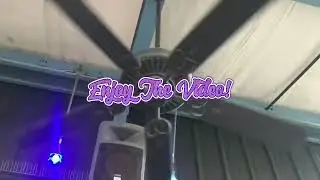 X4 Visual Comfort Maverick 60&rdquo; Ceiling Fans at The Capitol Arcade