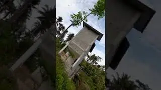 sp birahi 88  mantap