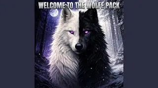 Welcome To The Wolfe Pack