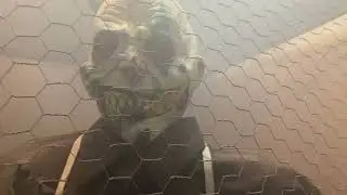 Royal Port Haunted House (lights on) 2024