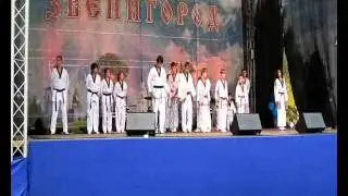 день города 13.09.2014.