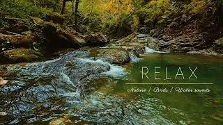 Cachoeira Relaxante 4K | Nature Relaxation: Waterfall, Birds & Soft Music