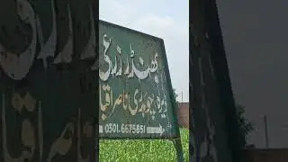 local business
