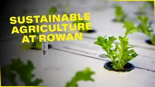 Sustainable Agriculture at Rowan: Inside the Aquaponics Facility