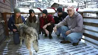 WOLF 2019 Howliday Greeting