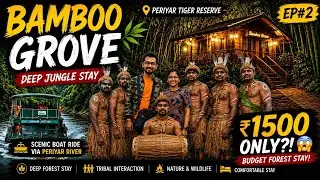 മലയാളികൾ കാണാത്ത പെരിയാർ - Periyar Tiger Reserve | Boating In Thekkady | Bamboo Grove Forest Stay
