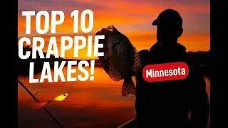 Top 10 Crappie Lakes in Minnesota 2025