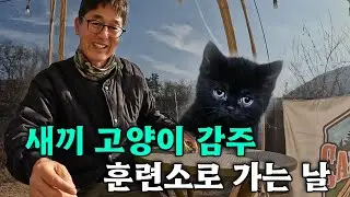 새끼 고양이 감주 !  훈련소에 가는 날 ?