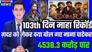 Gadar 2 Box Office Collection | Tiger 3 9th Day Collection | #gadar2