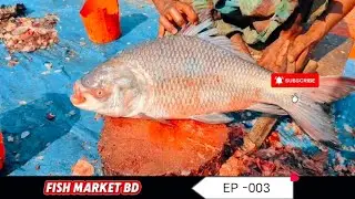 Amazing Fish Cutting Skills | Fish Market BD | Rui Fish Cutting #fishcutting #fishfishmarketbd