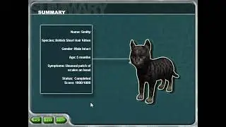 Smitty the Kitty | Pet Vet (PC)