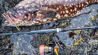 Este PEZ pone al L&Iacute;MITE esta Ca&ntilde;a. Pesca Spinning Islas Canarias.