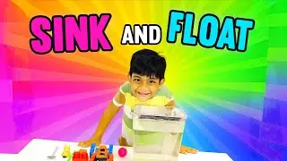 Sink and Float | Simple Physics for Young Learners,   @Littleexplorer1911 || fun for kids