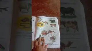 DAV 2nd class in EVS book chapter 8 the animal world