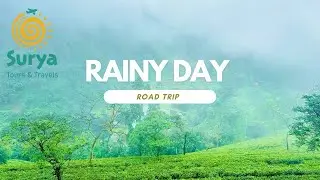 Rainy day road trip to Rohini Tea Garden | Experience the magic | 😱🛣️🚙
