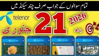 What has holes but still holds water?|My Telenor app questions