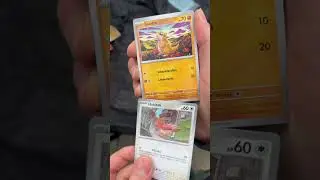 Special - Folge Bisasam - Illustration Rare Hunt vs ​⁠@everypokeday  #1484  Pok&eacute;mon Mega-Entwicklung