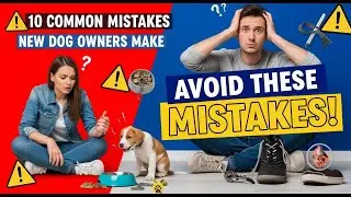 10 Common Mistakes New Dog Owners Make