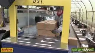Lubera Pflanzenversand - Vollverpackung der Pflanzen