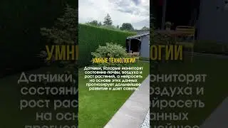 Тренды в ландшафтном дизайне 2025 #shorts #ландшафтныйдизайн #дача #сад #садоводничество #тренды