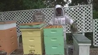 Beekeeper clubs partner to give beginner beekeeping course