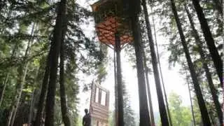 Tree House Construction