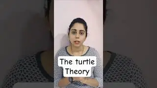 The Turtle Theory for manifestation #manifestation #lawofattraction #lifelessons