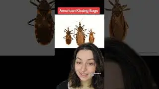 The Kissing Bug's Global Range #educational